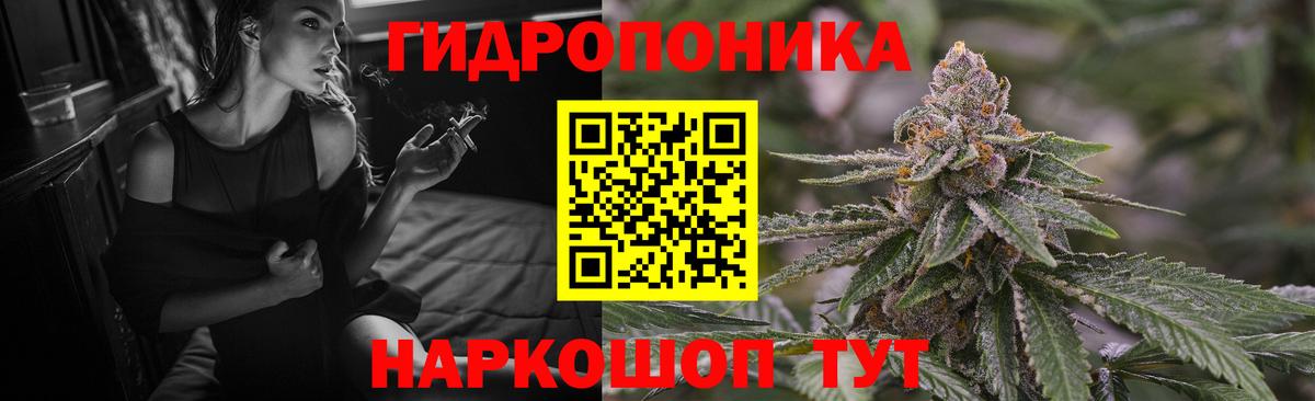 Марихуана марихуана Кингисепп